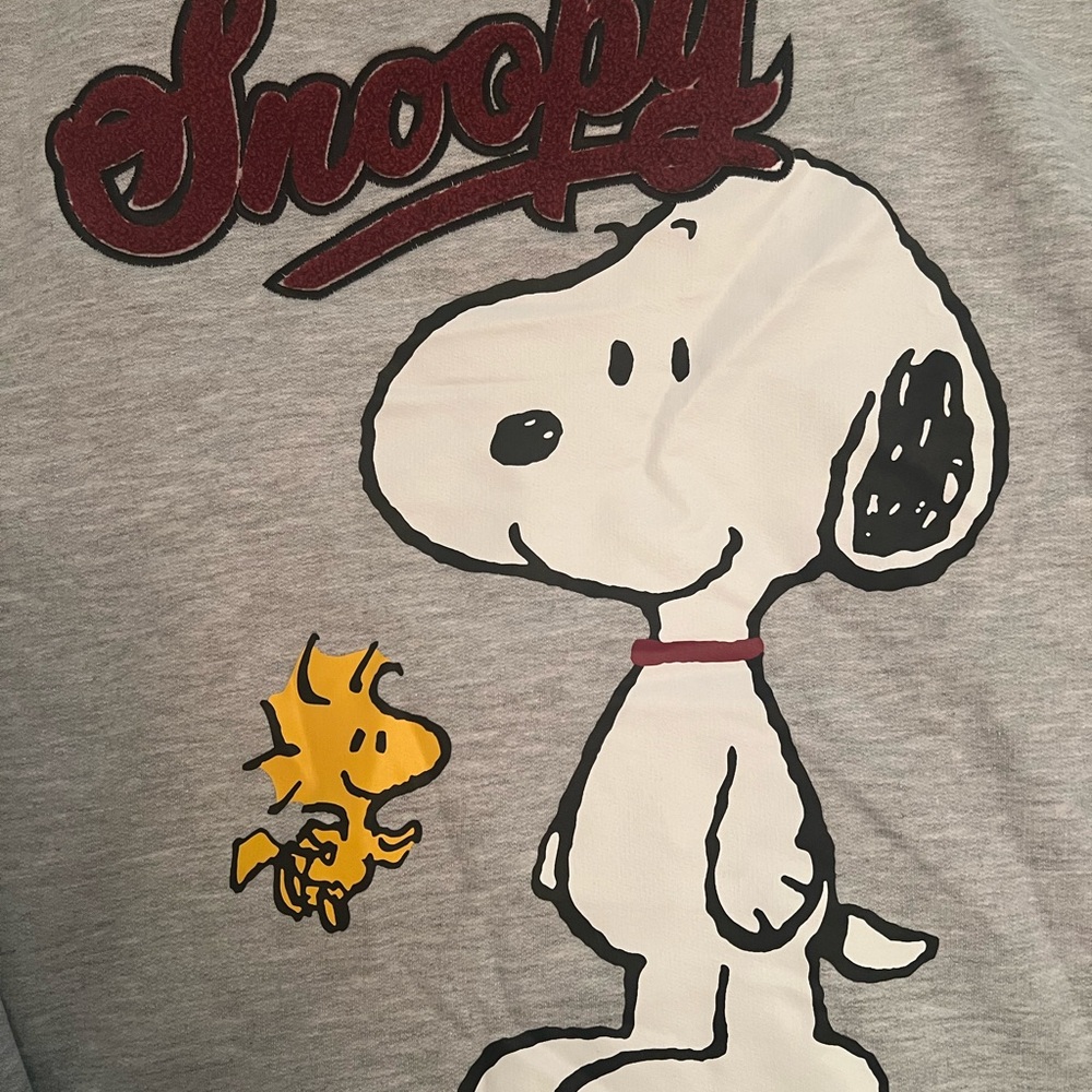 Snoopy & Woodstock Peanuts Gray Hoodie with Snoopy and Woodstock